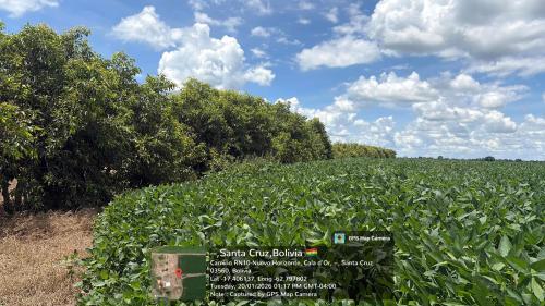 Hualtaco gallery image 3