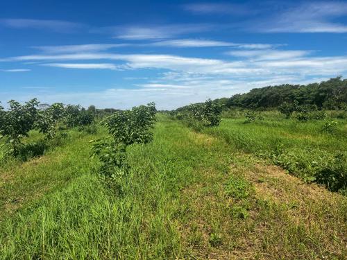 San Rafael 1 gallery image 24