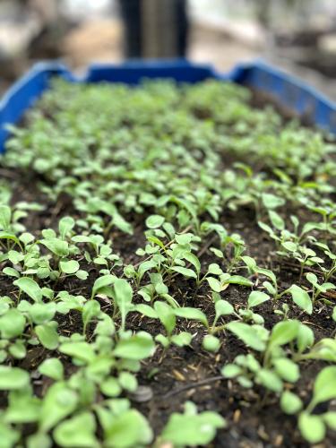 Haciendas del Señor gallery image 31