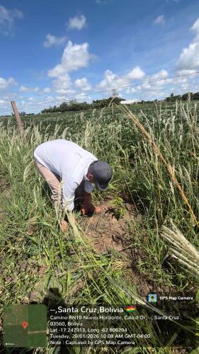 Retiro gallery image 23