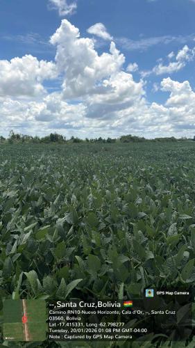 Hualtaco gallery image 11