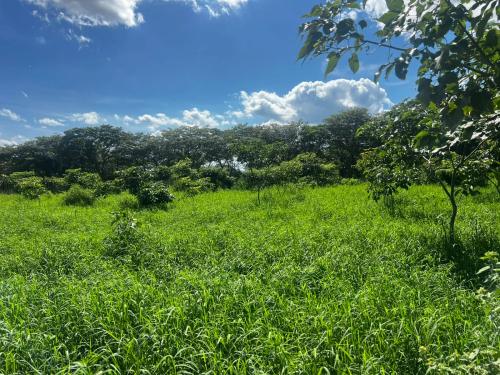 San Rafael 1 gallery image 12