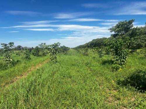 San Rafael 1 gallery image 23