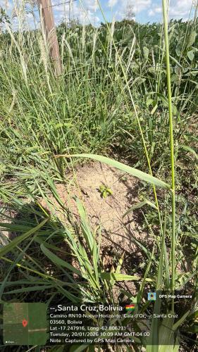 Retiro gallery image 28