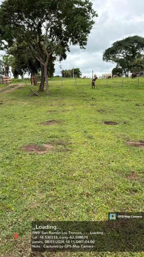 San Rafael 2 gallery image 3