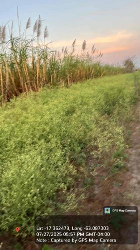 Haciendas del Señor gallery image 27