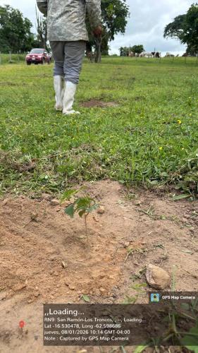 San Rafael 2 gallery image 8