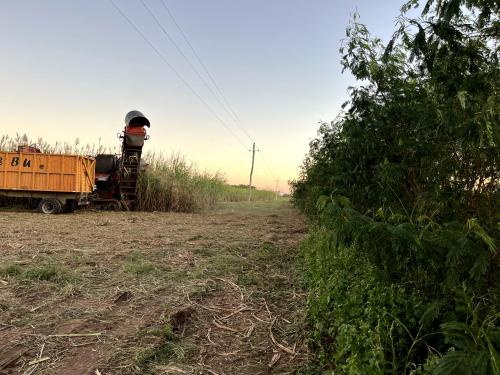 Miraflores gallery image 6