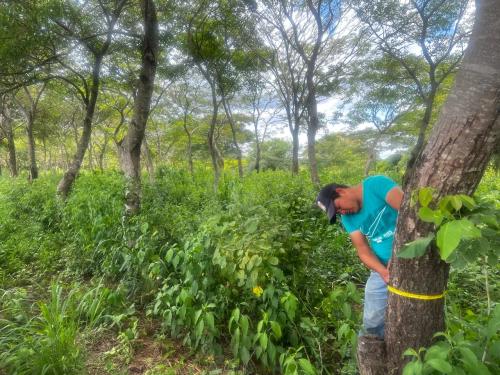 San Rafael 1 gallery image 9