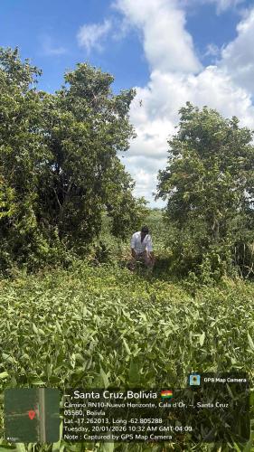 Retiro gallery image 19