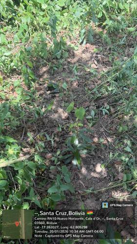 Retiro gallery image 13