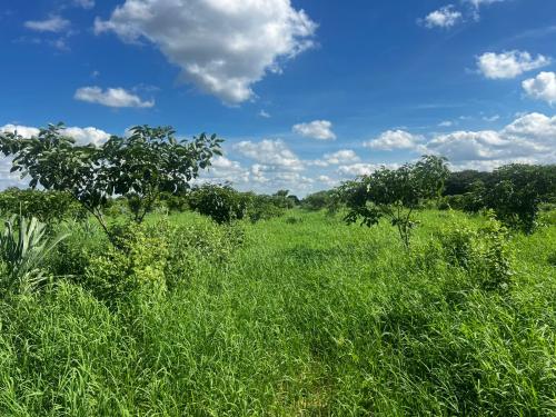 San Rafael 1 gallery image 14