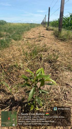 Retiro gallery image 55