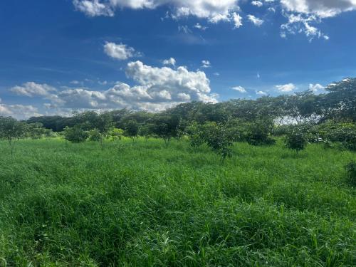 San Rafael 1 gallery image 11