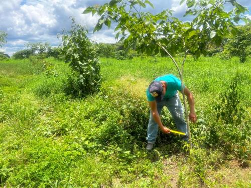 San Rafael 1 gallery image 7