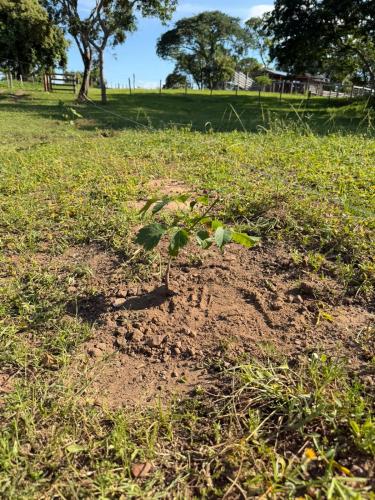 San Rafael 2 gallery image 14