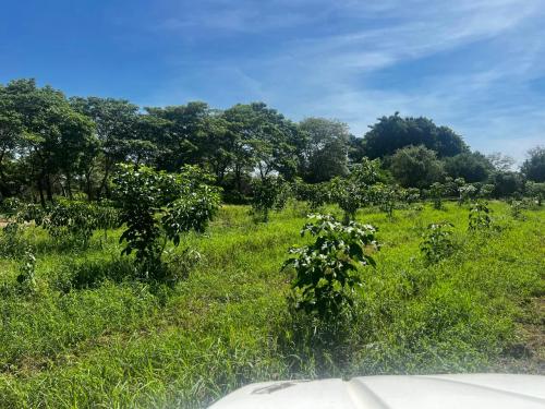 San Rafael 1 gallery image 19