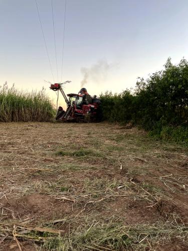 Miraflores gallery image 2