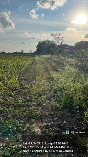 Haciendas del Señor gallery image 16