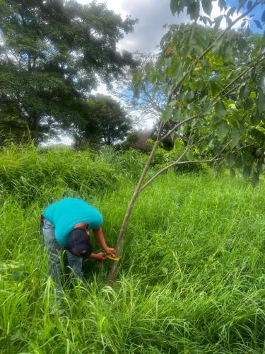 San Rafael 1 gallery image 8