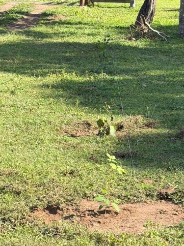 San Rafael 2 gallery image 22