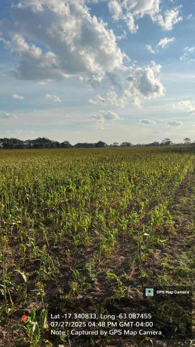 Haciendas del Señor gallery image 15