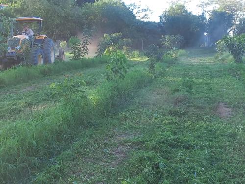 San Rafael 1 gallery image 22