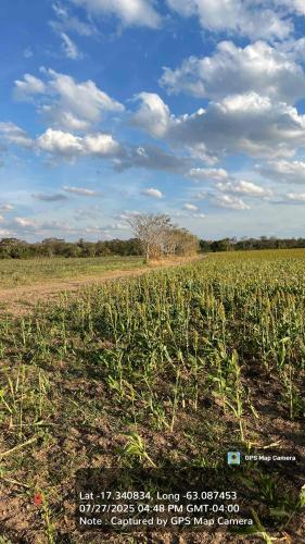 Haciendas del Señor gallery image 14