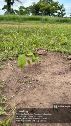 San Rafael 2 gallery image 7