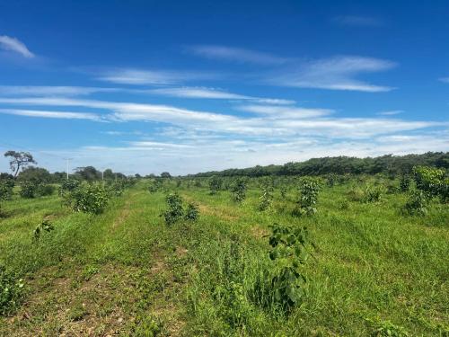 San Rafael 1 gallery image 17