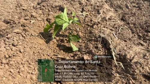 San Rafael 1 gallery image 30