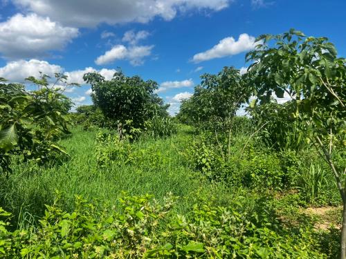 San Rafael 1 gallery image 21