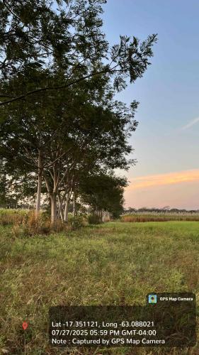 Haciendas del Señor gallery image 29