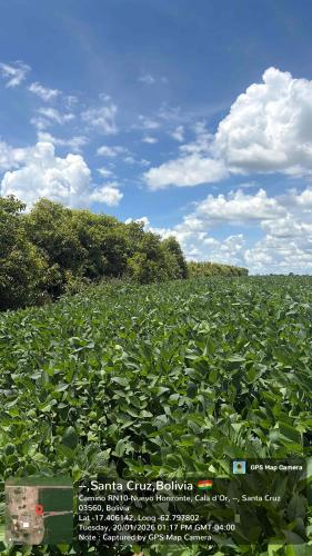 Hualtaco gallery image 1