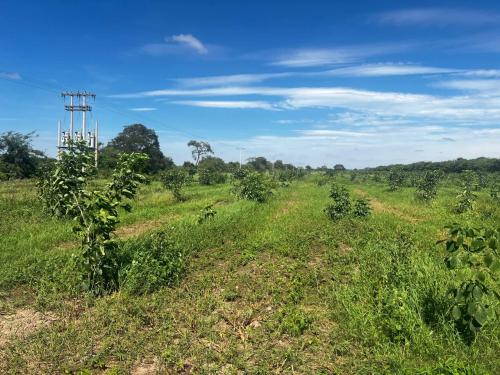 San Rafael 1 gallery image 16