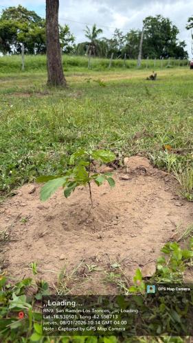 San Rafael 2 gallery image 12