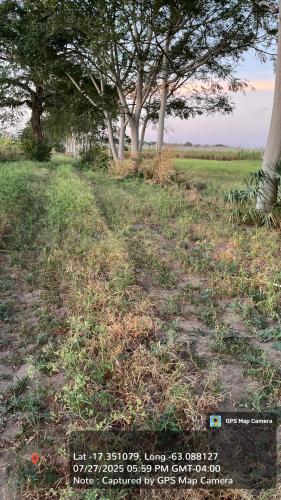 Haciendas del Señor gallery image 28