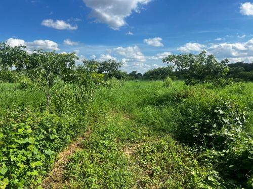 San Rafael 1 gallery image 13