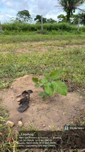 San Rafael 2 gallery image 2