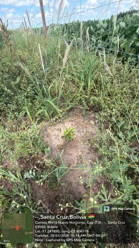 Retiro gallery image 16