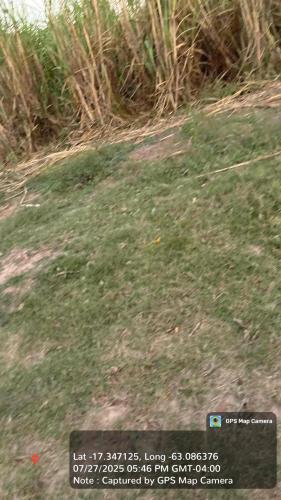 Haciendas del Señor gallery image 20