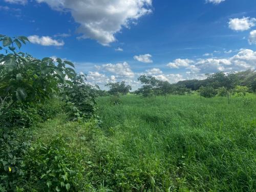 San Rafael 1 gallery image 10