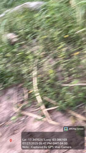 Haciendas del Señor gallery image 22