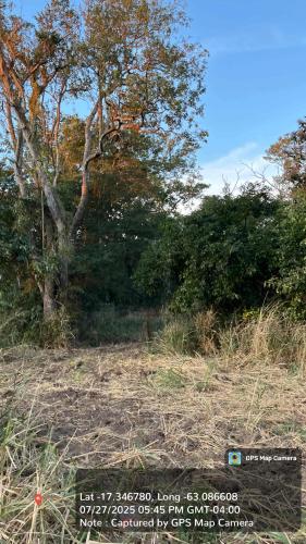 Haciendas del Señor gallery image 18