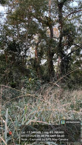 Haciendas del Señor gallery image 24