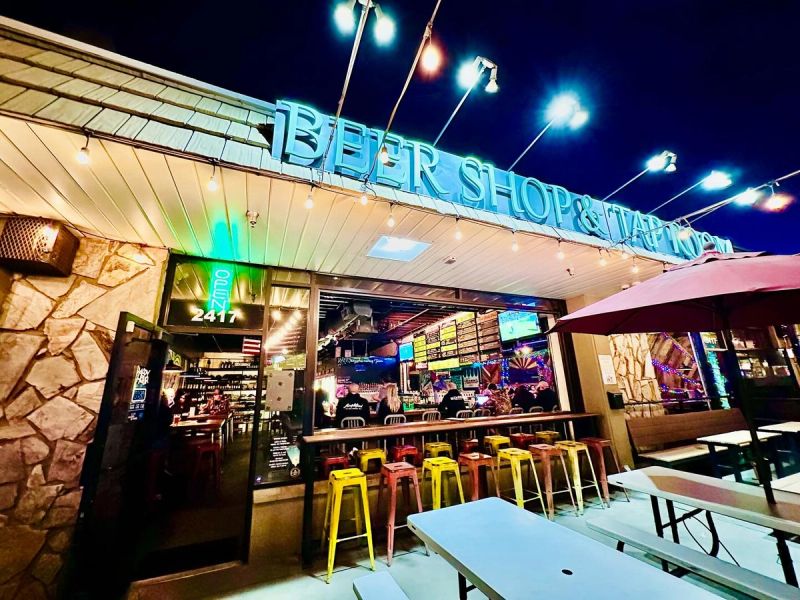 The Wandering Tortoise cover image