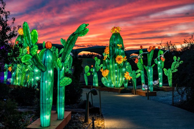 Tianyu Lights Festival cover image