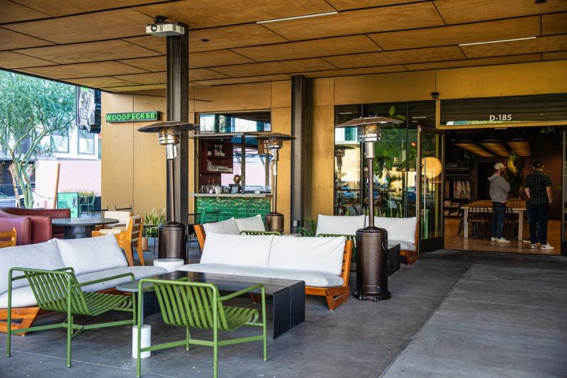 The Green Woodpecker cover image