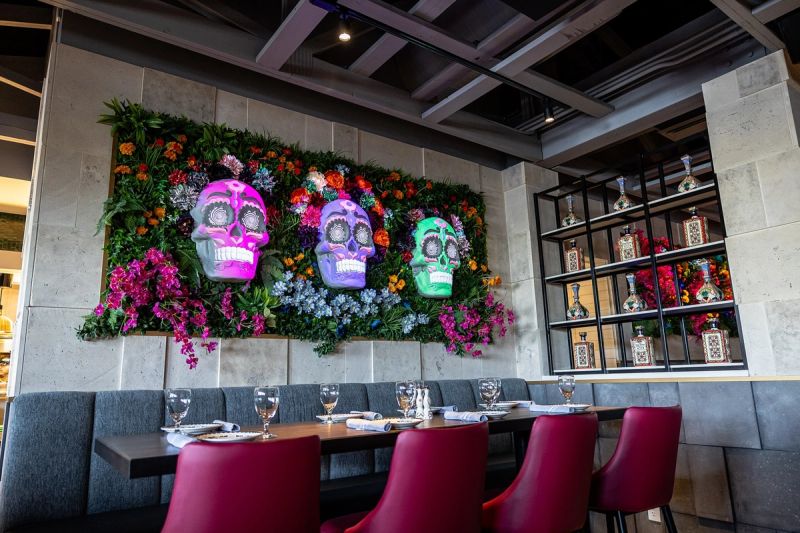 The Mexicano - Chandler cover image