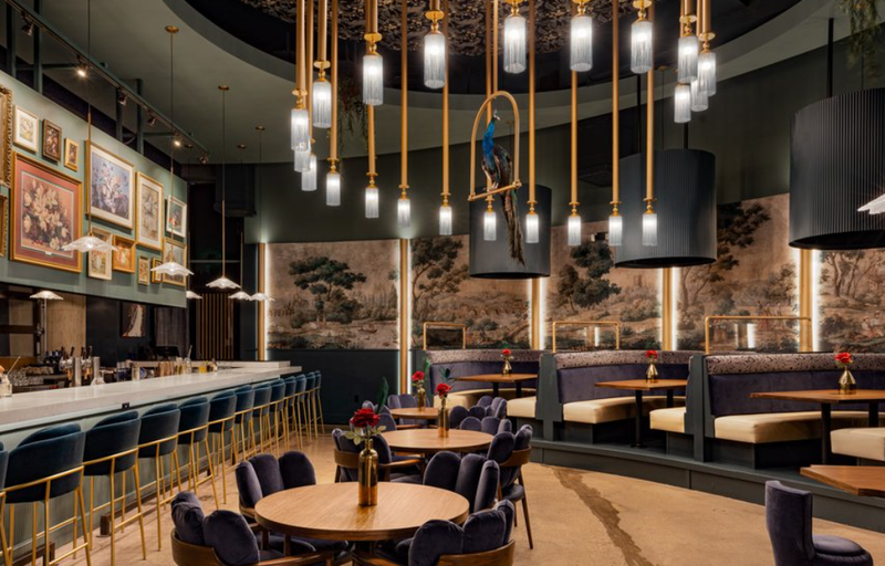 The Rose Garden cover image